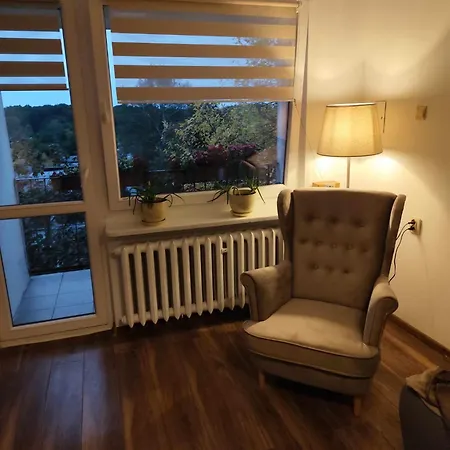 Przytulne, Mieszkanie W Centrum Lodzi Apartman Łódź