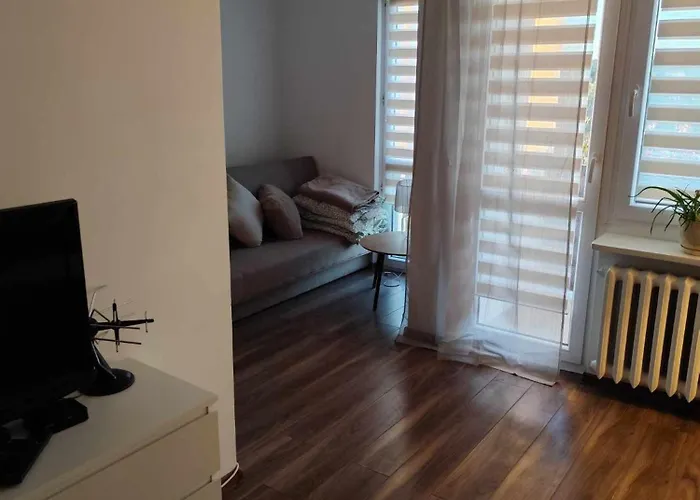 Przytulne, Mieszkanie W Centrum Lodzi Διαμέρισμα Λοτζ